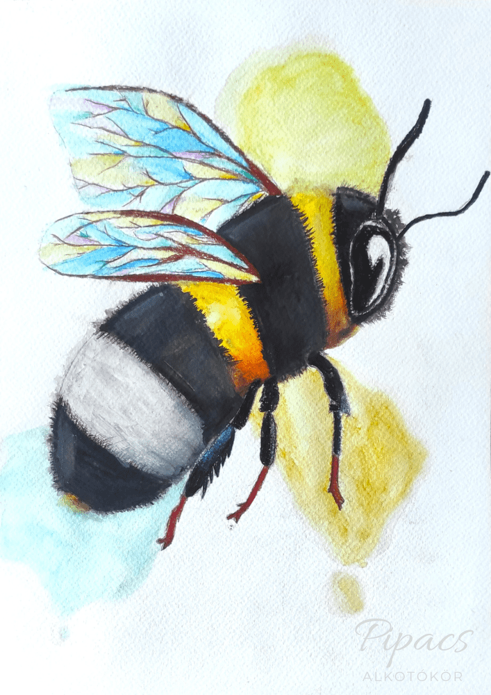 Kreatív rajzoktatás gyerekeknek