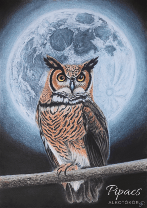 Természet, rejtély, holdfény