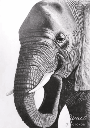 Kreativitás, kitartás, részletek, elefánt