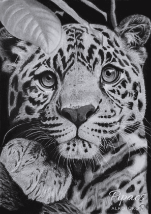 Fejlődés, öröm, leopárd