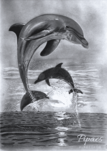 Könnyedség, játékosság, delfin