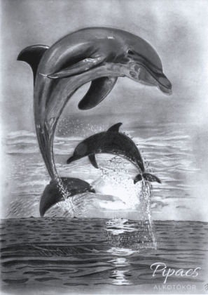 Könnyedség, játékosság, delfin